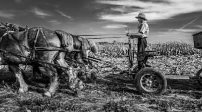 Amish People – Reportagefotografie Silas Koch