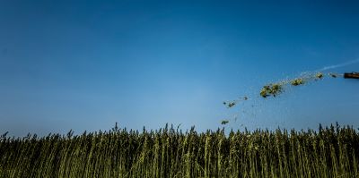 Reportagefotografie – Silas Koch
