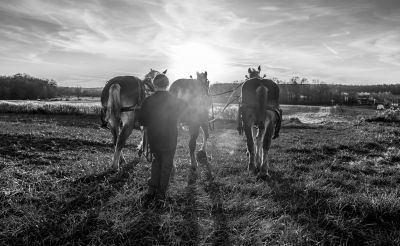 Amish People – Reportagefotografie Silas Koch